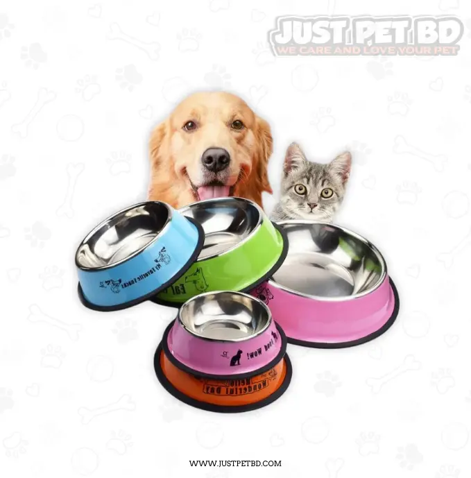 Stainless Steel Non-Slip Pet Bowl - Essentials - Store